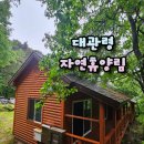 강릉숙소 대관령자연휴양림 숲속의집 연립동 숙박 준비물