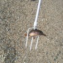 나곡해수욕장 이미지