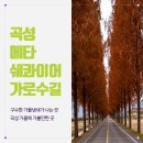 곡성 신기 구간 네이버블로그