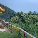 구례옥잠 이미지