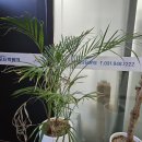 박용대법무사