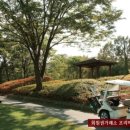 회원권플라자