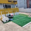 독스호텔리어 이미지