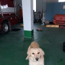 시종면사무소 이미지