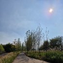 당신은 지금 어디로 가고 있나요? | 당신의 영혼은 지금 어디로 가고 있나요?