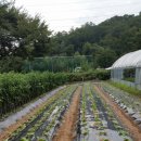 남동족구장 이미지