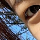 서현역속눈썹학원 [제이뷰티] 속눈썹펌 후기