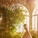 스타리움의원 이미지