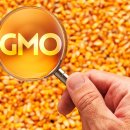 대상주식회사 전분당공장 이미지