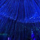 타이어프로 통영죽림점 이미지