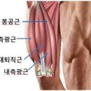 가블렛 이미지