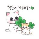온누리타이어 이미지