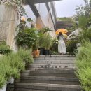 사마리안하우스 | 논현] 애견동반가능 도심 속 정원, 모스가든 프라이빗한 룸 이용후기 (굿사마리안레시피,세인트루크마리)