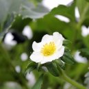 연준농장 이미지