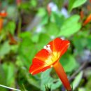 주인농장 이미지