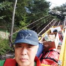 입화산참살이숲야영장 이미지