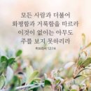 토이포이 이미지