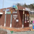 함평양서파충류생태공원 | 전남 함평 아이와 가볼만한곳 l 양서파충류생태공원 아이와 다녀온 후기