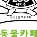 수원-0980 이미지