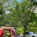 흥부네쉼터 이미지