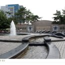 일출물빛 이미지