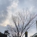 길가정의학과의원 이미지