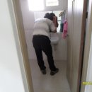 익산공설운동장 이미지