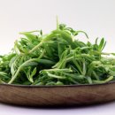 도트락강서점