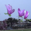 북면초등학교 이미지