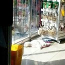 폴리파크송현점