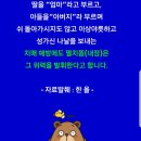 멸치 똥의 효능 이미지