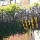 부광여자고등학교 이미지