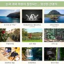 제주양부장투어 | 공영홈쇼핑 제주 양투어 3박 4일 후기
