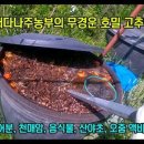 나주배유기 이미지
