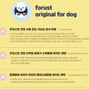 포러스트