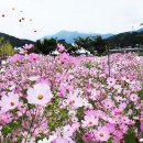 대황강자연휴식공원 이미지