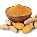 자연의모든것 이미지