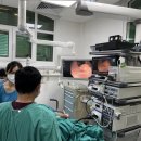 엔도메드 이미지