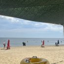 칠포해수욕장 | 여름🌊 포항 1박2일 여행(칠포해수욕장 해수욕 후기)