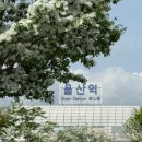 부엔아이안경 네이버블로그
