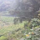 월학농장 이미지