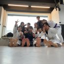 ART OF MMA 이미지