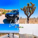 세계로렌트카(안산영업소) | 미국 LA렌트카 로스앤젤레스 여행 예약 비용 코스 추천