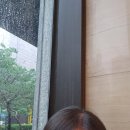 새치와까망머리 이미지