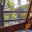 A17 | [아산 영인산자연휴양림] 가성비 킹 캠핑장 숲에 둘러싸인 캠핑장 A17 후기 명당추천