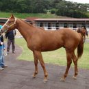 우승목장 이미지