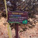 도원1리마을회관 네이버블로그