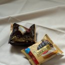 GS25가좌건지 | 세븐일레븐 생초코파이, GS25 생초코파이 후기 &amp; 비교