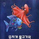 무지개물고기 이미지