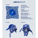 씨네마맥주대구달성파크 | 대구 삼성 라이온즈파크 파티플로어석 2열 후기